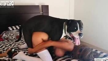 Hot women enjoying hardcore fucking with a dog