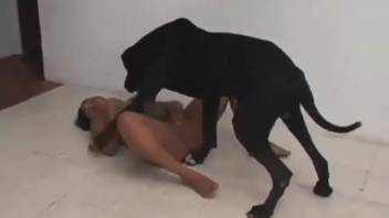 Amazing rear-entry pounding featuring a Latin American canine enthusiast
