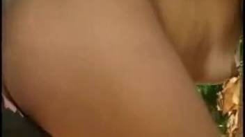 Slender lady rough intercourse with a stallion outdoors