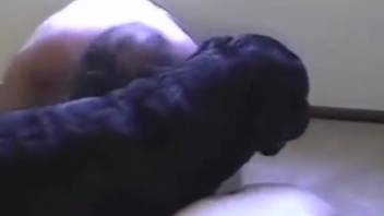 Massive-assed guy being roughly pounded by a hot canine