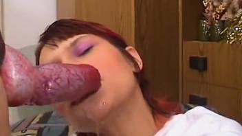 Cute amateur jizzed on face after sucking a dog cock