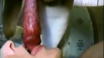 Aroused woman displaying her craving for canine cock in a steamy video