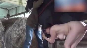 Equine cock ravaging a genuine slut from the rear