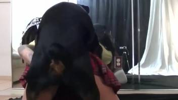 Aroused dark-haired woman fucks a tempting beast