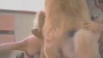 Dog doing dirty things in a hot porn movie in  HD