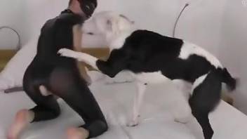 Latex-wearing androgynous hottie gets fucked by a dog