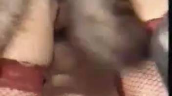 Intense sex scene with a vintage beast-loving vixen