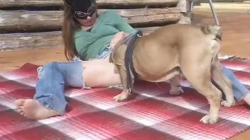 Sexy girl filmed when putting a lot of dog inches in her vag