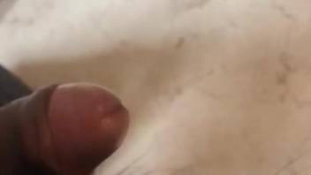 Lucky dog gets to lick a delicious penis here
