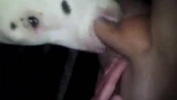 Hot creature craves tasty human semen after giving head