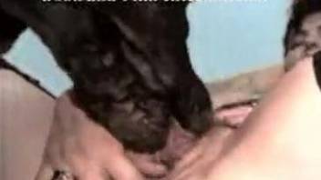 MILF zoofil blows a big dog cock and gets banged
