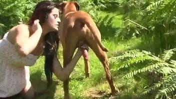 Brunette deepthroating a dog's hard cock in the grass