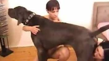 Man and wife share a dog cock in kinky cam scenes