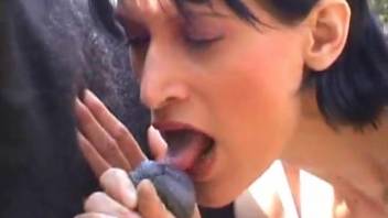 Deepthroated dark-haired woman eager to have sex with the horse