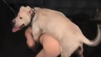 Big booty housewife goes on all fours to fuck a dog