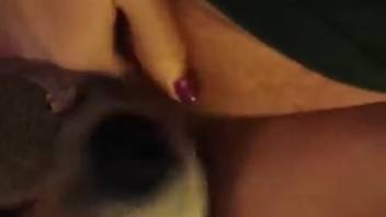Creased vagina hottie receiving oral pleasure on film