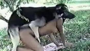 Dog bestiality sex compilation with different dog types