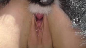 Golden-haired stunner passionately kisses her canine companion before engaging in intercourse with it