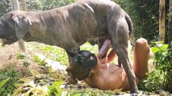 Slutty chick blowing a canine cock outside