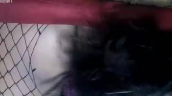 Thai whore with a sexy ass being fucked by a dog
