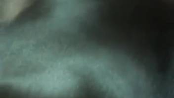 Guy banging a hot bitch in a first-person adult flick