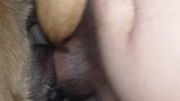 Closeup sex with a furry animal in scenes of anal sex
