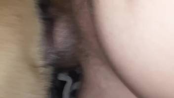 Intimate encounter with a fluffy creature featuring detailed anal intercourse scenes