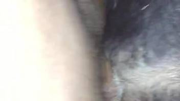 Dude with a hairy cock punishing a beast's tight hole