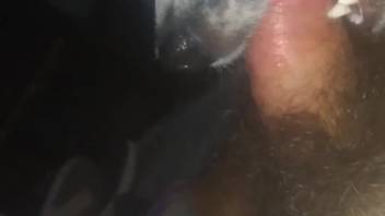 Guy's cock is being deep-throated by a perverted monster