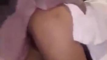 Quick pig sex session with an obedient bestiality lover