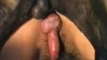 Hot bitch takes meaty penis on all fours and from behind