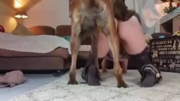 Sultry woman with a curvaceous backside captured on camera during intense doggy-style encounters for several steamy rounds