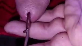 Dude masturbates with worms in pretty kinky cam scenes