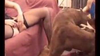 Sexy blonde babes using dog for sexual desires