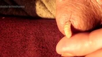 Filthy fetish where a guy stuffs worms into his cock