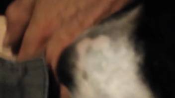Guy wielding his rock-hard dick to bang a wild animal