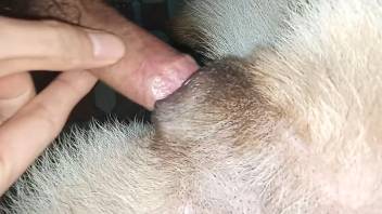 Guy sneakily slips his hard-on into a bitch's pussy