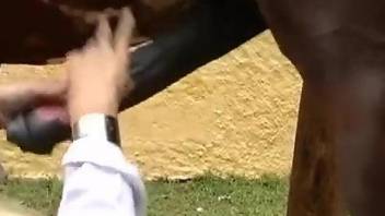 Aroused blonde gets intimate with the horse's giant dick
