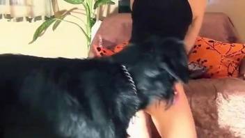 Masked hottie gets skull-fucked by a black dog