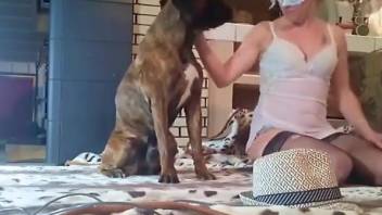 Masked cam babe fucked in the pussy by her dog