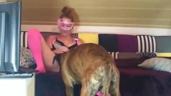 Pink knee-highs hottie getting fucked by a dog