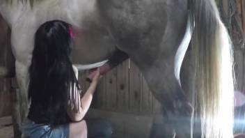Dark-haired babe worships a stallion's hard dick