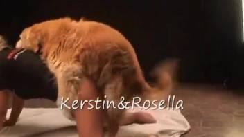 Hot blond babe drilled by a canine in authentic doggy-style webcam footage