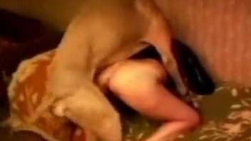 Vile bestiality sex tape with a submissive diva