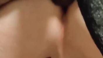 Firm-ass guy being anally fucked by a perverted mutt
