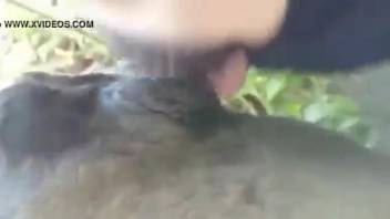 Guy screwing a beast's narrow orifice in a perverted clip