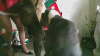 Curvy hottie with a massive booty gets thoroughly pounded by her pet dog