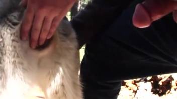 Guy with his massive dick stretching open a beast's vagina