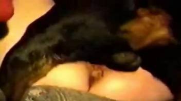 Aroused mature woman filmed with a big dog dick in her cunt