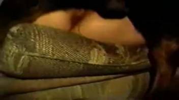 Excited older lady captured on video with a huge canine cock inside her pussy